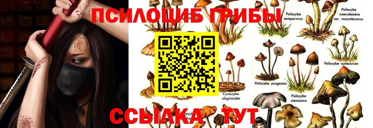Псилоцибиновые грибы прущие грибы Нижний Тагил