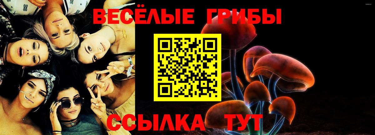 Псилоцибиновые грибы Magic Shrooms  Галлюциногенные грибы прущие грибы  Нижний Тагил  Вход с VPN 